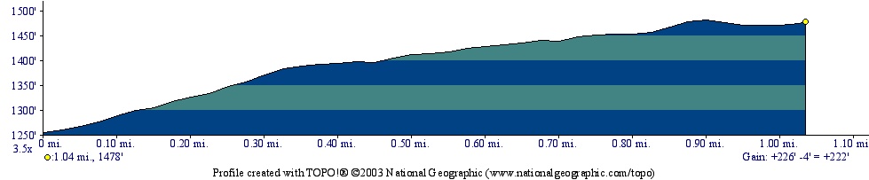 Kidder Brook Elevation